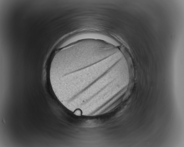X0000087550584200705251742