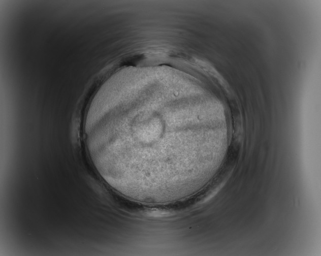 X0000087550585200705251742
