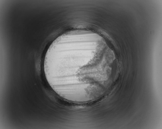 X0000087550586200705251742