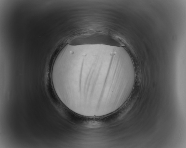 X0000087550590200705251742