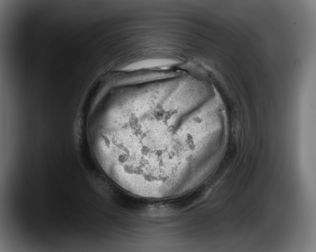X0000087550591200705251742