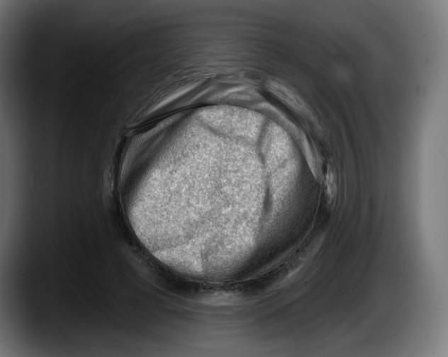 X0000087550593200705251742