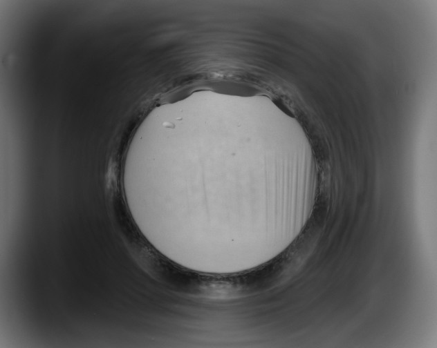 X0000087550598200705251742