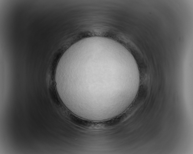 X0000087550599200705251742