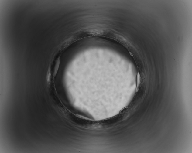 X0000087550600200705251742