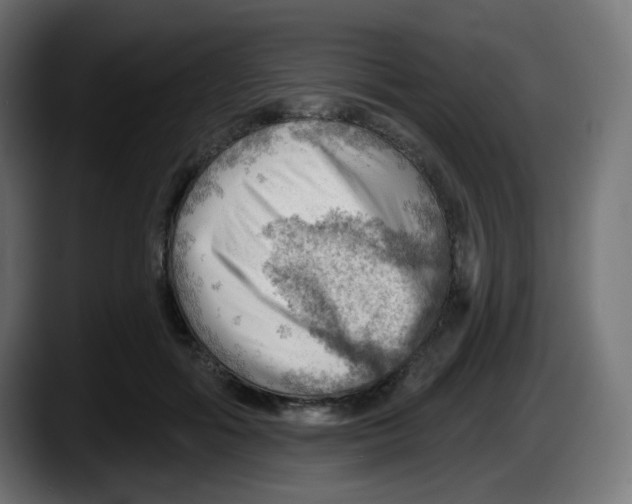 X0000087550602200705251741
