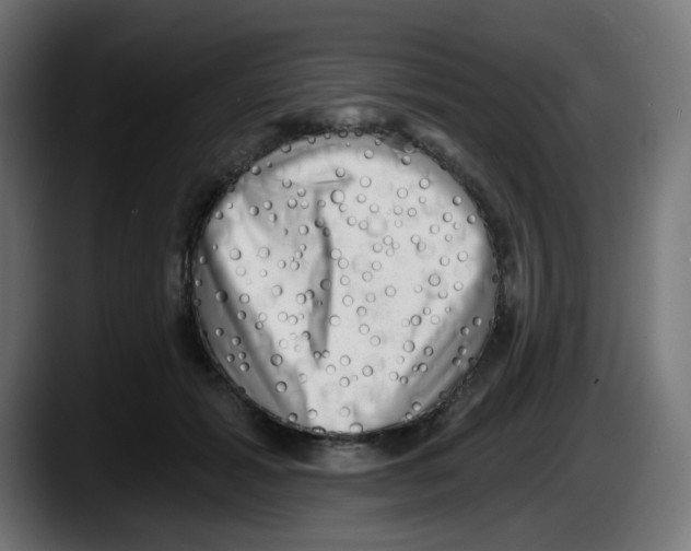 X0000087550605200705251741