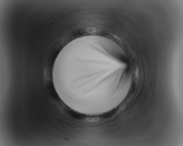 X0000087550606200705251741