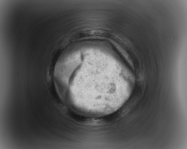 X0000087550607200705251741