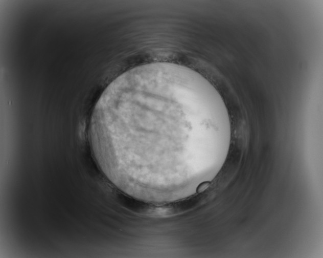 X0000087550610200705251741