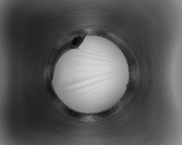 X0000087550611200705251741
