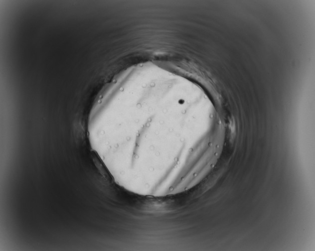 X0000087550613200705251741