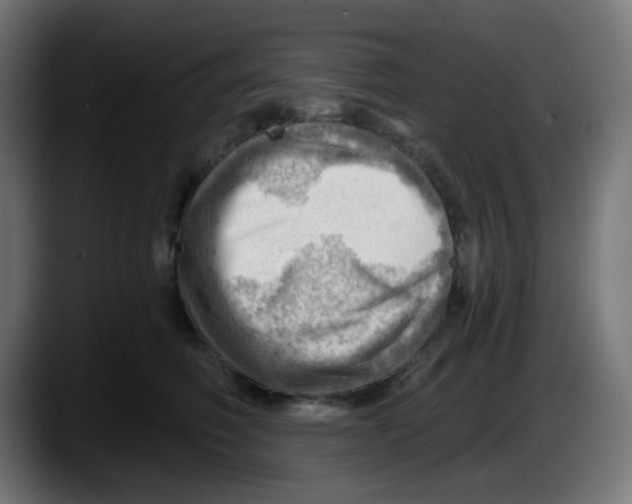 X0000087550614200705251741