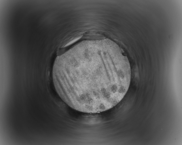 X0000087550615200705251741
