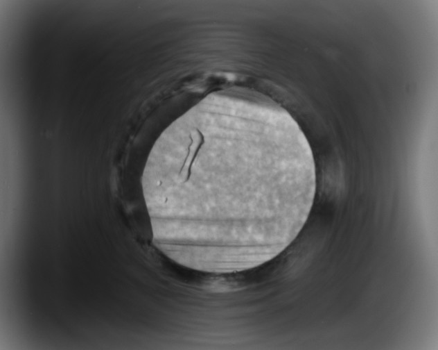 X0000087550616200705251741