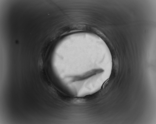 X0000087550617200705251741