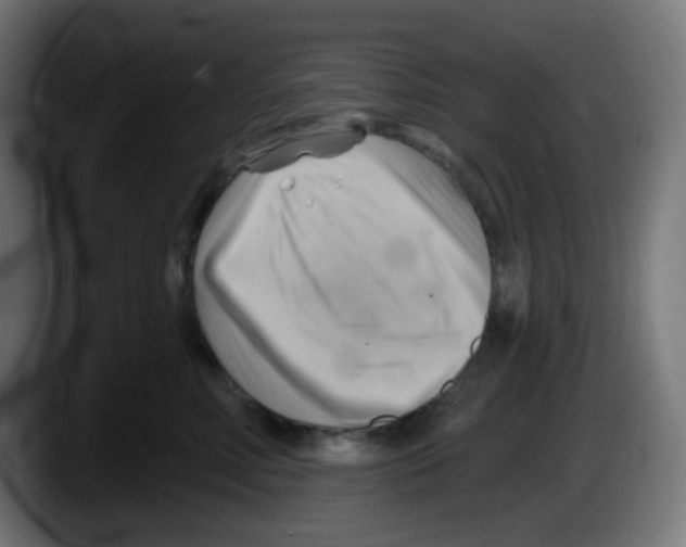 X0000087550618200705251741