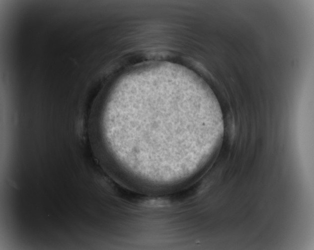 X0000087550619200705251741