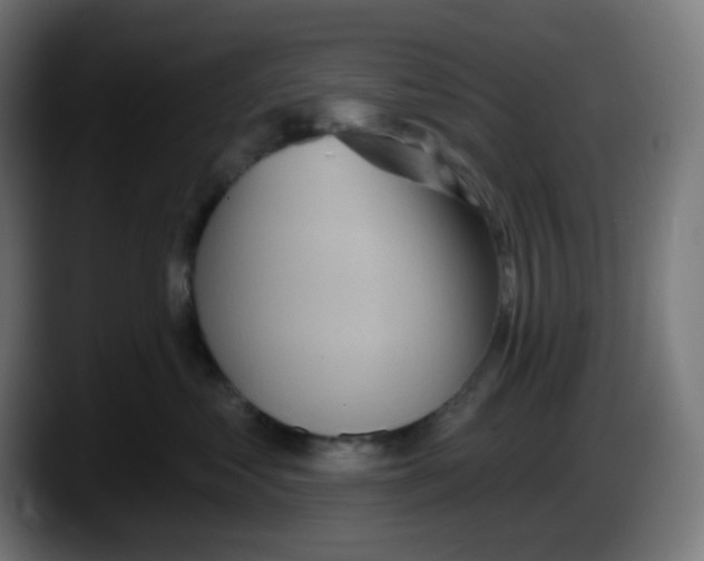 X0000087550621200705251741