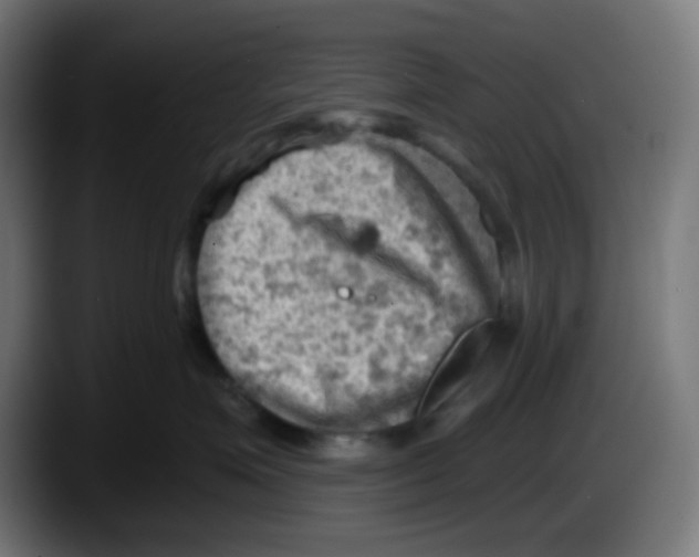 X0000087550623200705251741