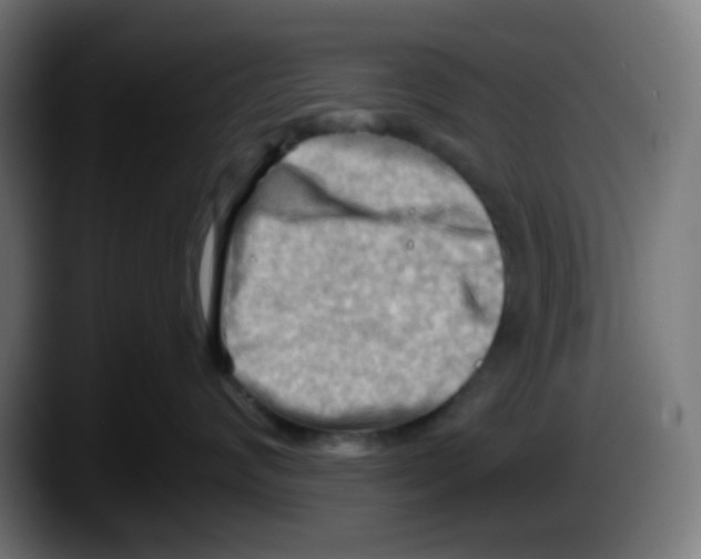 X0000087550624200705251741