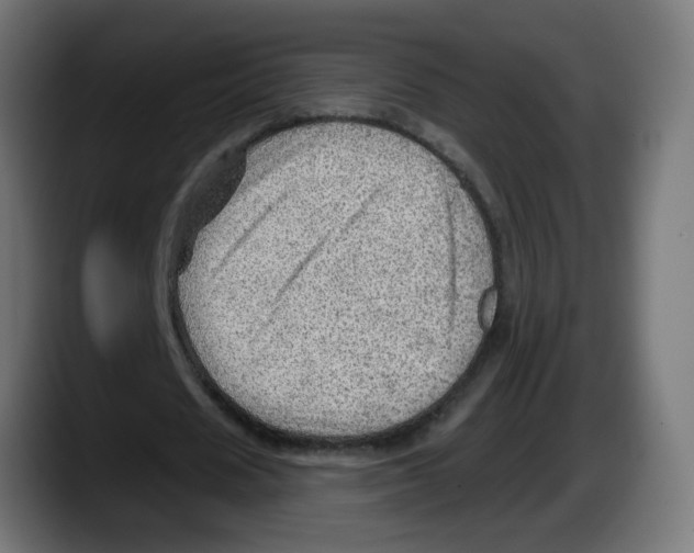 X0000087550625200705251741