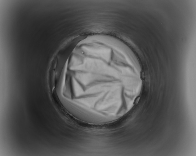 X0000087550626200705251741