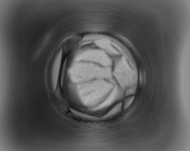 X0000087550627200705251741