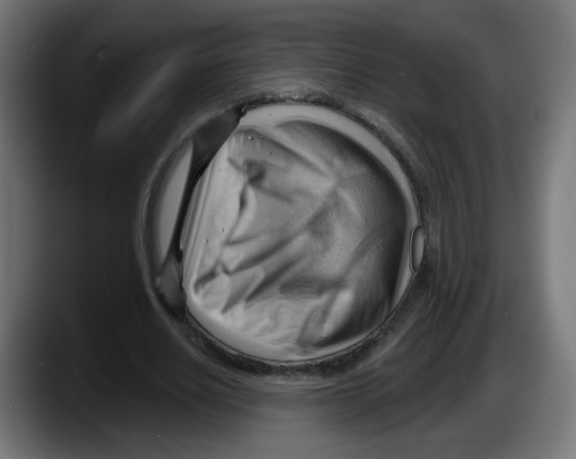 X0000087550630200705251741
