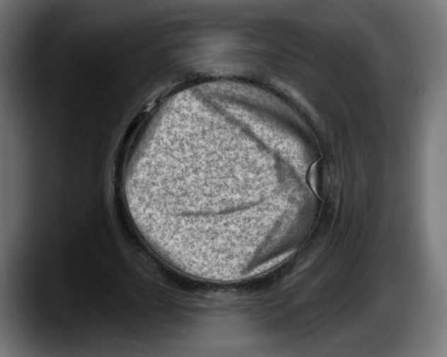 X0000087550631200705251741