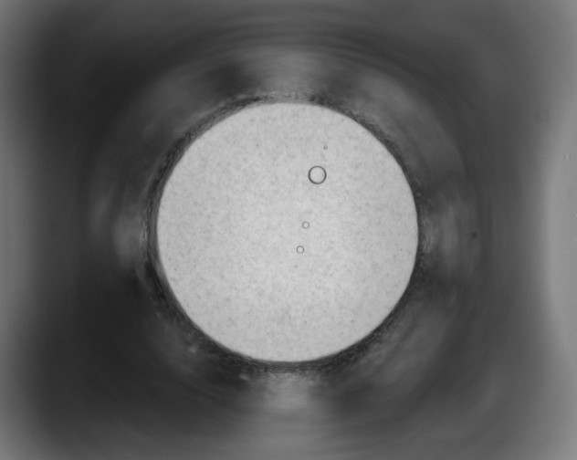 X0000087550632200705251741