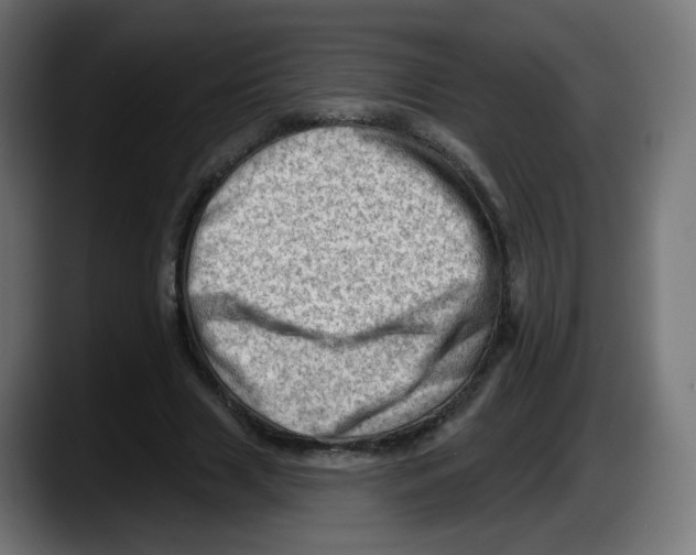 X0000087550633200705251741