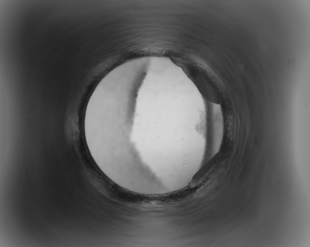 X0000087550634200705251741