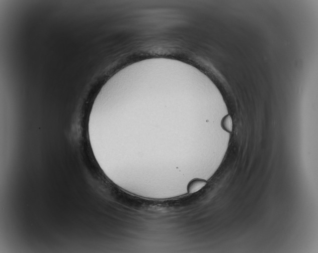X0000087550635200705251741