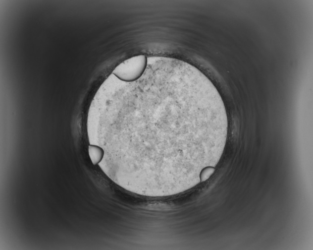 X0000087550636200705251741