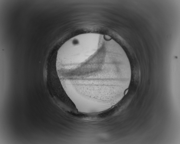 X0000087550637200705251741