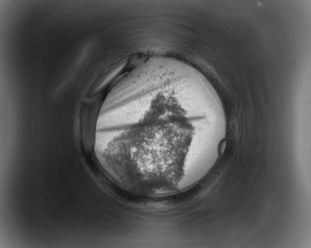 X0000087550638200705251741