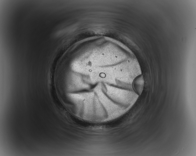 X0000087550639200705251741