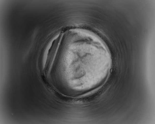 X0000087550640200705251741