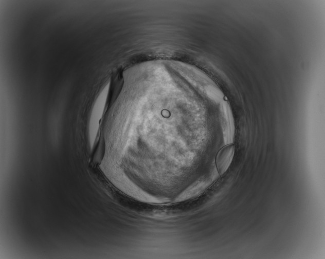 X0000087550641200705251741