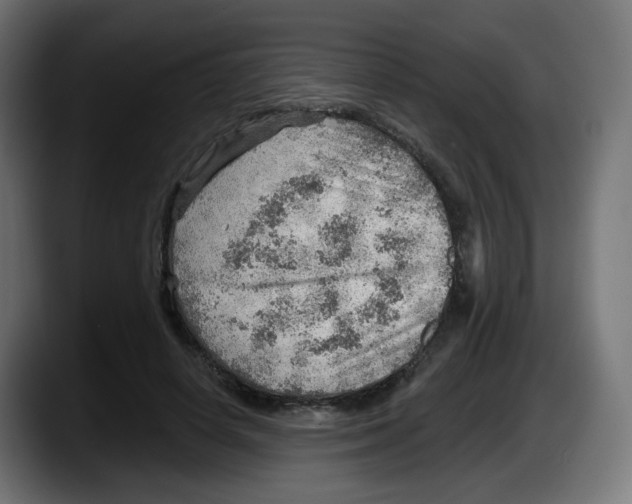 X0000087550642200705251741