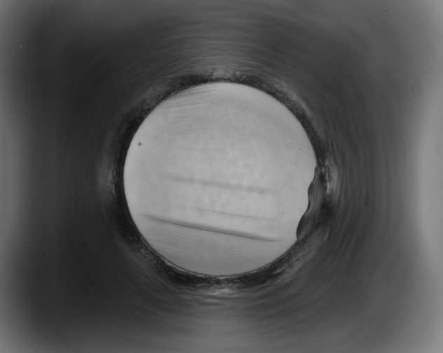 X0000087550643200705251741