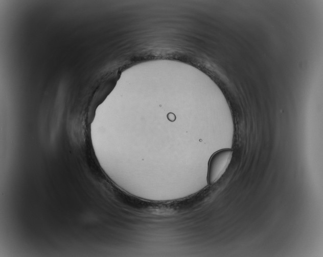 X0000087550644200705251741