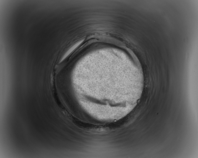 X0000087550646200705251741
