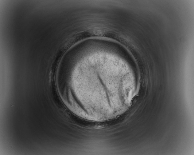 X0000087550647200705251741