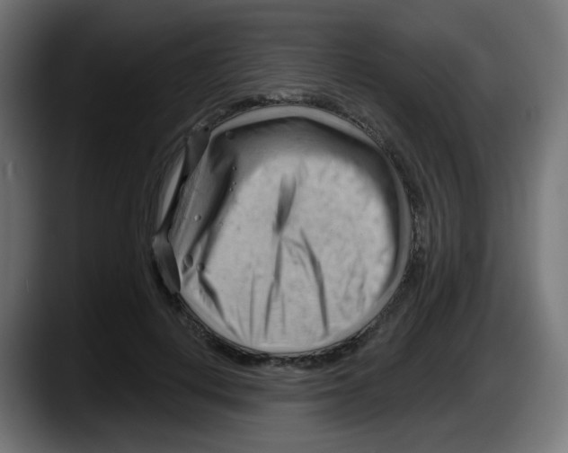 X0000087550648200705251741