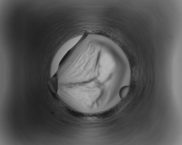 X0000087550650200705251741