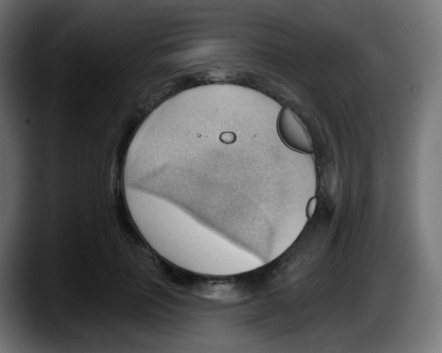 X0000087550651200705251741