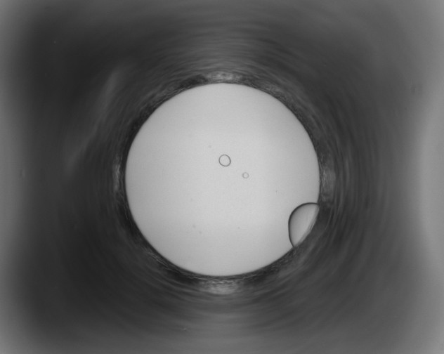 X0000087550652200705251741