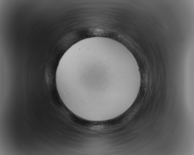 X0000087550653200705251741